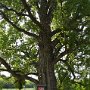Sendrazice-Kolin-Milovice-55