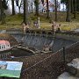 Marianske-Lazne-Cheb-SOOS-067