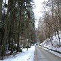 Kokorin-Melnik-03