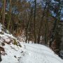 Kokorin-Melnik-08