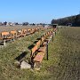 Prerov-Semice-Bristvi-29