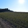 Prerov-Semice-Bristvi-61
