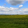 Louny-Slavetin-17