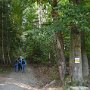Sumava-Dolni-Jilovice-07