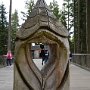 Sumava-Dolni-Jilovice-15