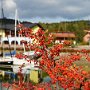 Sumava-Dolni-Jilovice-38