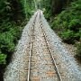 Sumava-Dolni-Jilovice-62