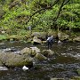 Sumava-042