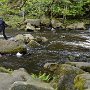 Sumava-043