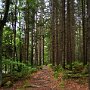 Sumava-046