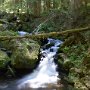 Sumava-236