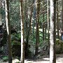 Sumava-244