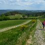 Sumava-288