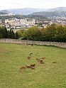 Usti_nad_Labem_20091004_21