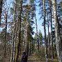 Uvaly-30