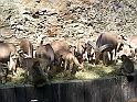 ZOO_Letiste_040