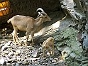 ZOO_Letiste_041