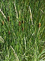 ZOO_Letiste_046