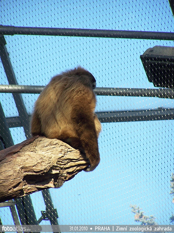 ZOO_Praha_10.JPG