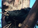 ZOO_Praha_05