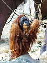 ZOO_Praha_06