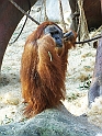 ZOO_Praha_07