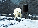 ZOO_Praha_12