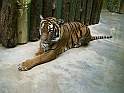 ZOO_Praha_37