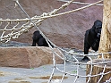 ZOO_Praha_40