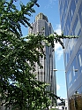 London_20090904_073
