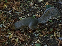 London_20090904_090