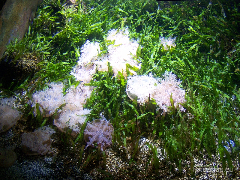 London_20090905_104.JPG