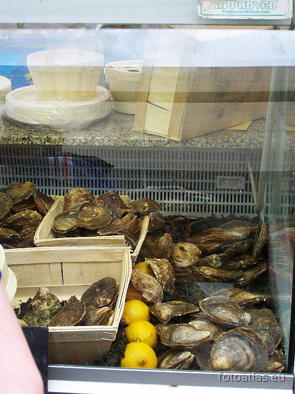 London_20090905_154.jpg