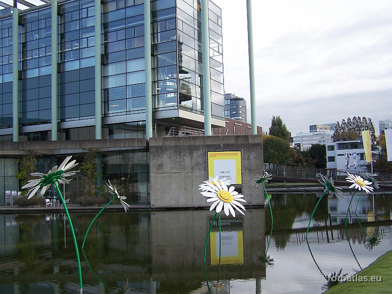 Rotterdam_009.JPG