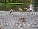 Rotterdam_084