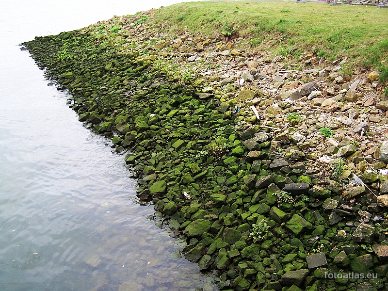 1__Rotterdam_10.JPG