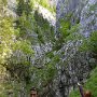 Graz-Barenschutzklamm-094