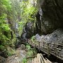 Graz-Barenschutzklamm-107