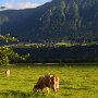 Innsbruck-07
