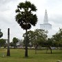 Sri-Lanka-016