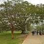 Sri-Lanka-017