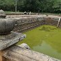 Sri-Lanka-041