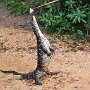 Sri-Lanka-052