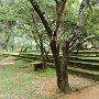 Sri-Lanka-062
