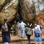Sri-Lanka-110