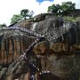 Sri-Lanka-115