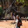 Sri-Lanka-116