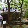 Sri-Lanka-128