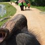Sri-Lanka-135