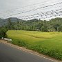 Sri-Lanka-145